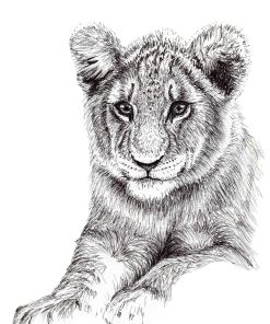 A black and white artwork of a lion cub, showing it's head and front legs