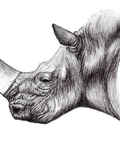 A black and white artwork of a rhino showing it's horn, head and neck.